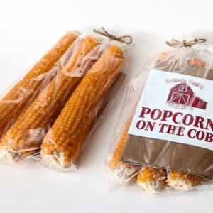 Popcorn on the cob Gift Pack