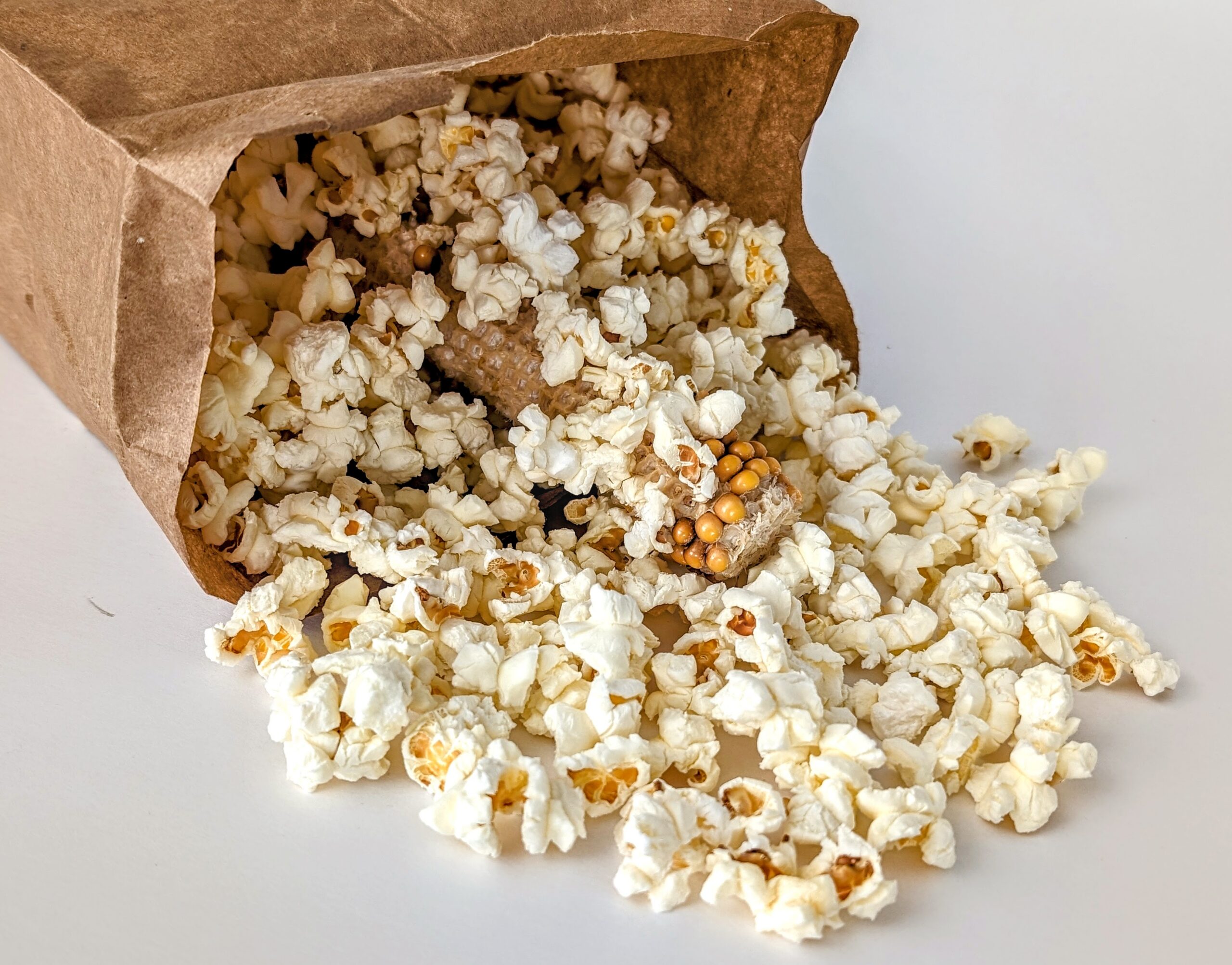 Popcorn on the Cob 2 Pack - Image 2